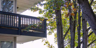 Fremont View (519) Gallery 3