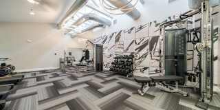 Aster at the Summit Gallery 23