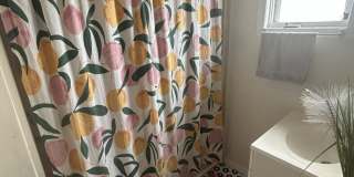 53 Cooper Avenue Gallery 11