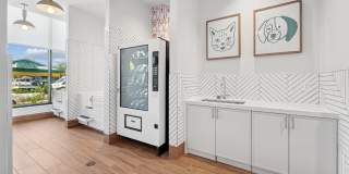 Alta Nova Gallery 30