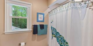 3125 HANNAHS POND Lane 3125 HANNAHS POND Lane Gallery 30
