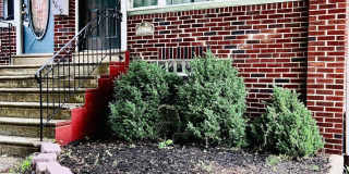 4617 SILVERWOOD Street Gallery 1