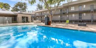 Treehouse Apartments Gallery 1