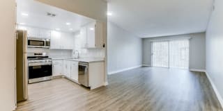 Gladstone Ridge Gallery 6