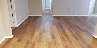 1311 ALFONZO CIRCLE Gallery 3