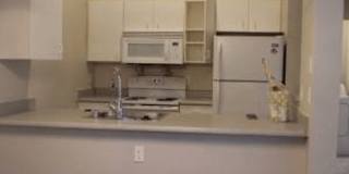 The Woodlands Apartments Gallery 24