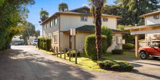 802-816 Lincoln Avenue Gallery 1