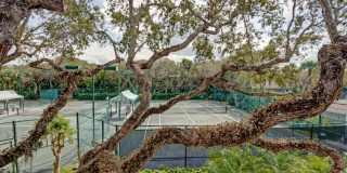 8705 Palm Tree Lane Gallery 28