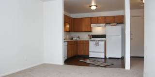 Hyde Park North Gallery 5