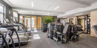 The Anchorage Gallery 8