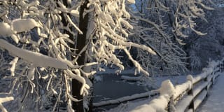 301 Riverwalk Place Gallery 15