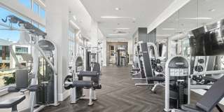 Avalon Lowry Gallery 39