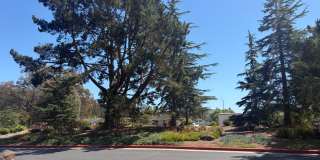 Capitola Knolls, Remodeled 3bd. 1.5ba two-level townhome Gallery 22