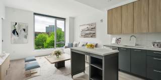 Skymark Reston Town Center Gallery 53