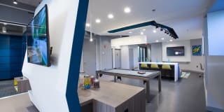 Highland Walk Gallery 23