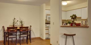 Town Centre Apartments Gallery 4