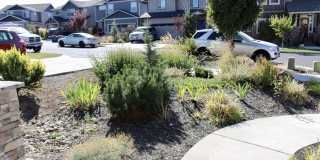 SW Bend Home Close to Old Mill & Deschutes River Trail Gallery 3
