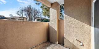 Avery at TownCentre Gallery 164