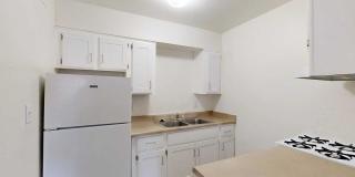 San Rivello Gallery 14