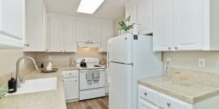 Pebble Creek Gallery 14