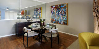 Kensington Square Gallery 17