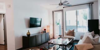 Tanager Tanager Gallery 34