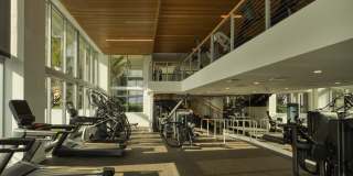 Ascent at Metropolitan Naples Gallery 27