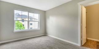 Terrace View Gallery 8