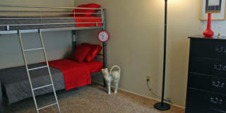 PARKWOOD APARTMENTS Gallery 11