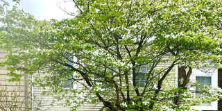 14510 LONDON Lane Gallery 1