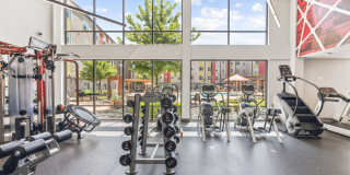 Terra at University North Park Gallery 18