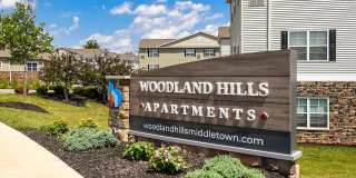 Woodland Hills Gallery 25