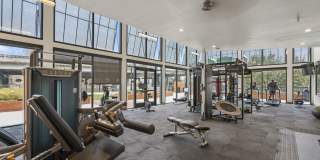 Southline Gallery 17