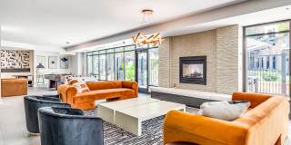 Maven at Wheaton Gallery 10