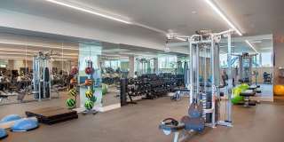 1 Ocean Dr Gallery 1