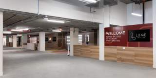 Lume Gallery 15