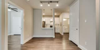 The Ava and Aria Gallery 33