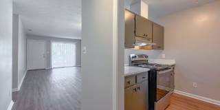 RENOVATED 2/1 w/ New Flooring/Paint, Fenced Yard, Deck, Walk In Closets, Granite Counters, & Stainless Appliances ! Avail NOW for $1295/month Gallery 12