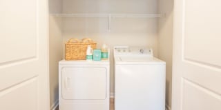 Element Carolina Bay Element Carolina Bay Gallery 32