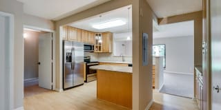 The Plaza Gallery 14