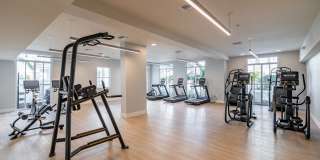 Illumina at Gulf Coast Town Center Gallery 8