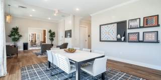 The Horizon at Springdale Park Gallery 21