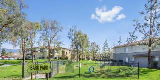 Camino Real Gallery 28