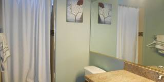 Desert Shore Beautiful 4 Bedroom Home! Gallery 8