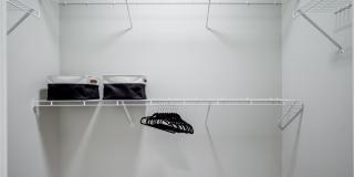 EDE Gallery 45