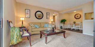 Aurella Cary Gallery 12