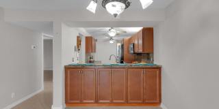 6610 Coral Lake Drive Gallery 17