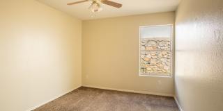 3913 Pearl Court Gallery 13