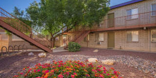 Mountain Plaza Gallery 17