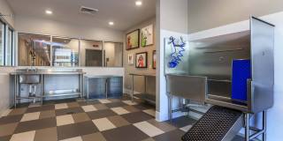 Windsor Central Arts Gallery 41